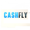 cashfly.pl